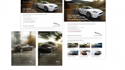 Jaguar-Web-Marketing